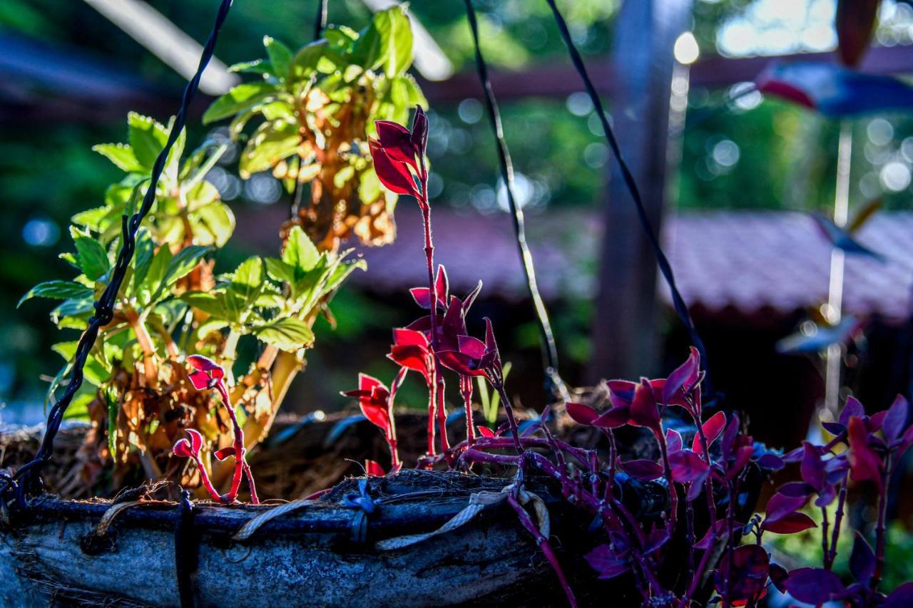 Pousada Sao Jorge ปอร์โต จิ กาลินญาส ภายนอก รูปภาพ